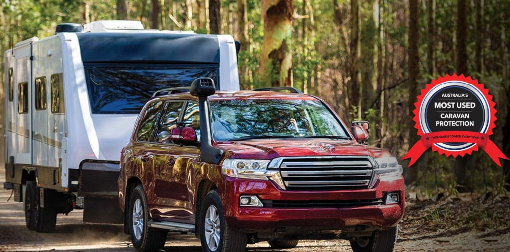 Ceramic Paint Protection